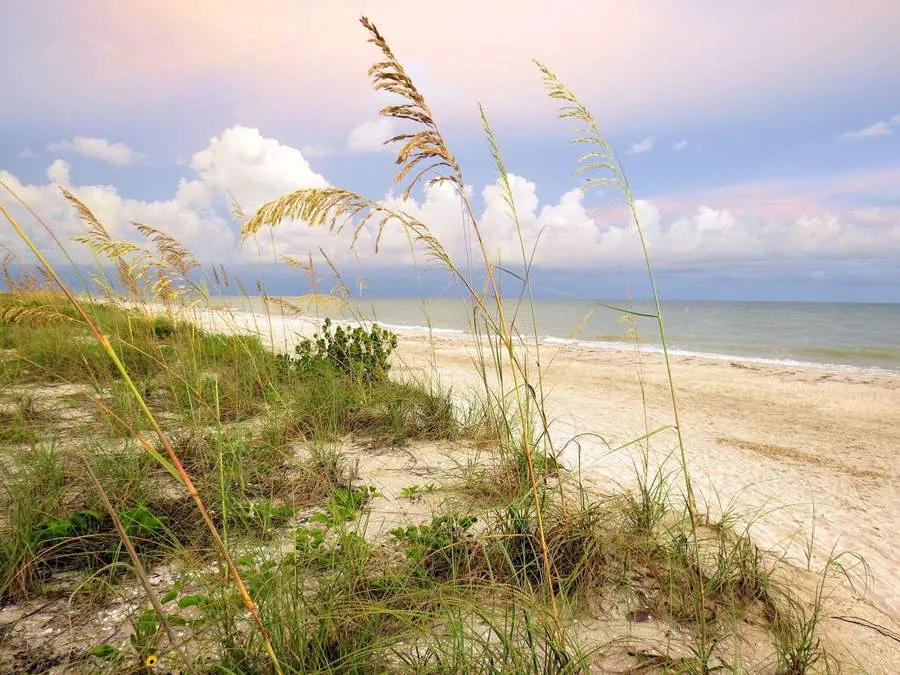 Golden hour beach dunes on Hilton Head Island